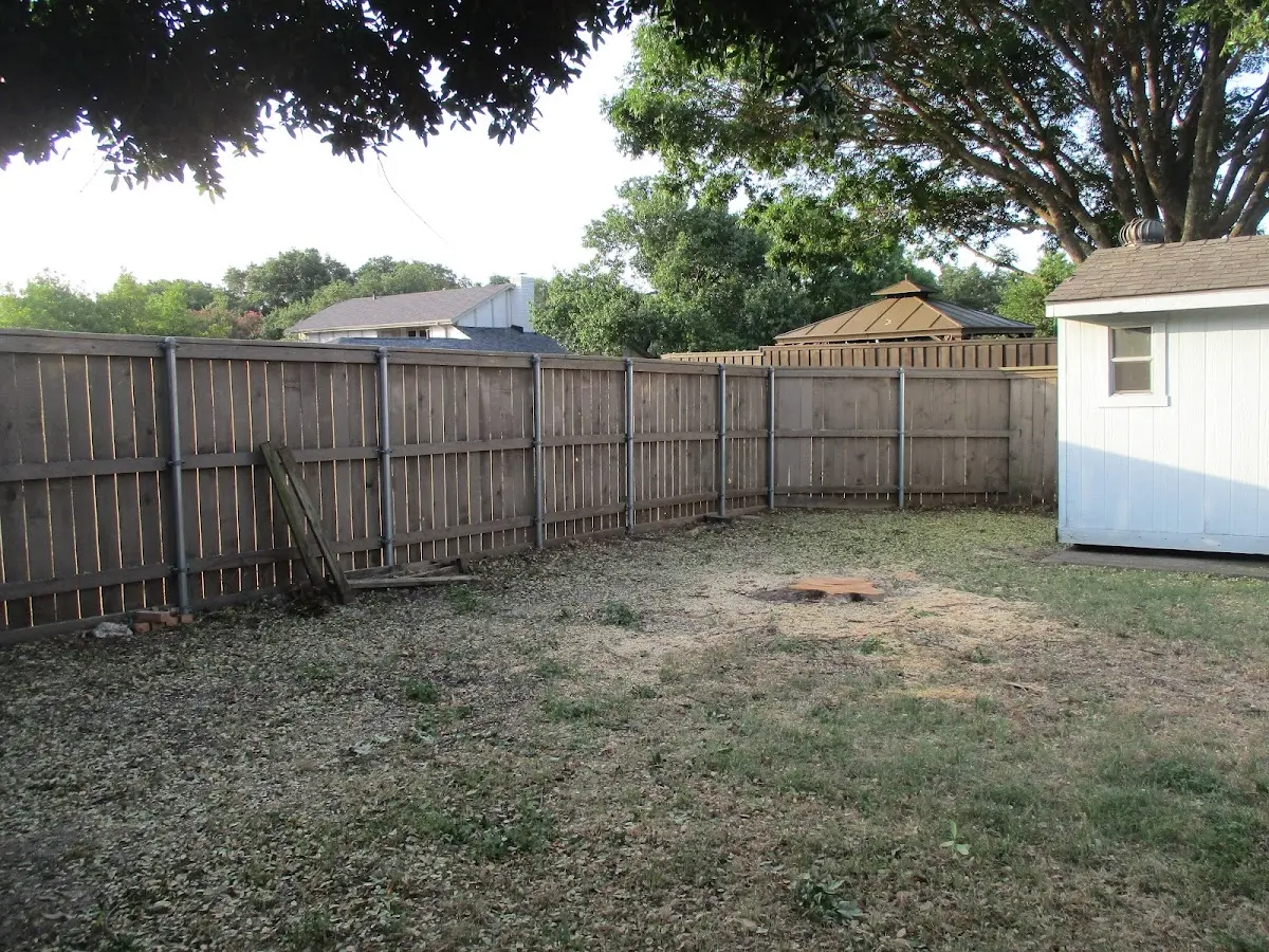 Cleared yard after professional tree removal in Albertson