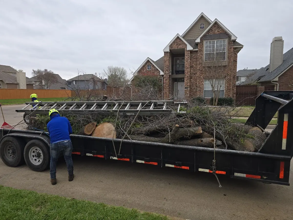 Expert Tree Fertilization with proper safety equipment in Albertson